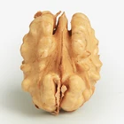 Massive Walnut Halves Manufacturer Dry Fruit Price Of Walnuts