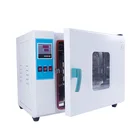 Industrial Competitive Price Laboratory Electronic Dry Heat Cabinet Industrial Oven Drying