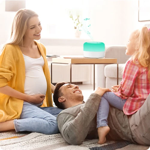 White Noise Sound Machine Baby with Night Light Rechargeable Portable Lullaby Machine Baby Soother for Kids Adults Sleep supplier