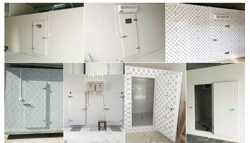 Meat Chicken Storage Refrigerator - detail 46