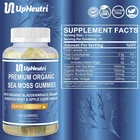 OEM/ODM Sea Moss Skin Care And Detox Irish Sea Moss Gummies Vegan With Bladderwrack And Acv
