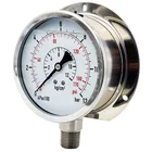 Pressure In Air 100mm All Stainless Steel Radial Pressure Gauge With Flange Used In Air Dryer