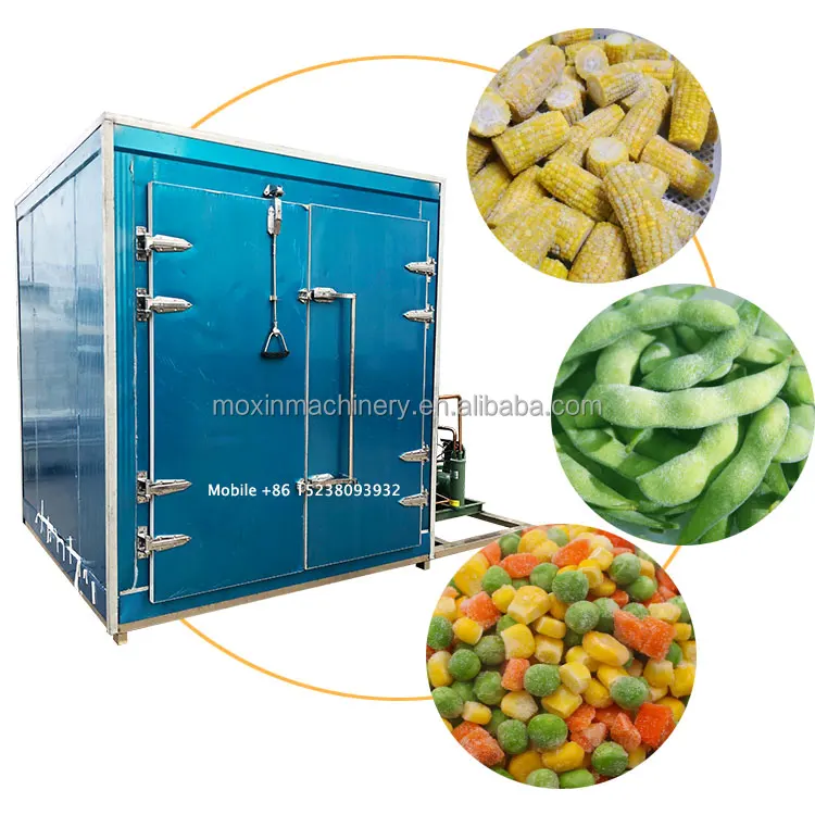 Small Tunnel Freezer, IQF, 380v, 2.75kw - detail 4
