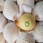 China Pear High Quality China Fresh Fruit Sweet Nutrition Crown Pear/green Pear