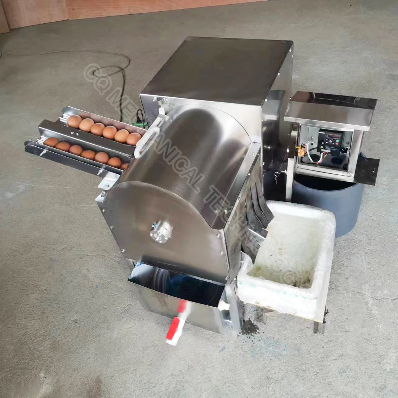 Cleaner Sorter Water Cycle Chicken Machine High Capacity Full Automatic