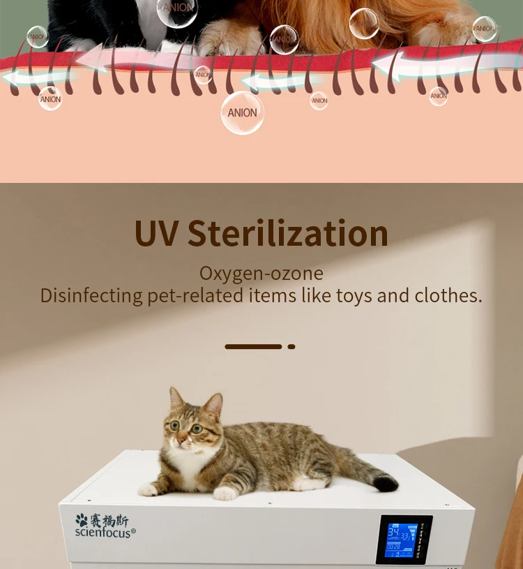 G5-S Hot Sale New Design Cat and Dog Hair Dryer Cabinet Small Pet Dryer Machine Pet Water Blower China Factory Direct Supplier