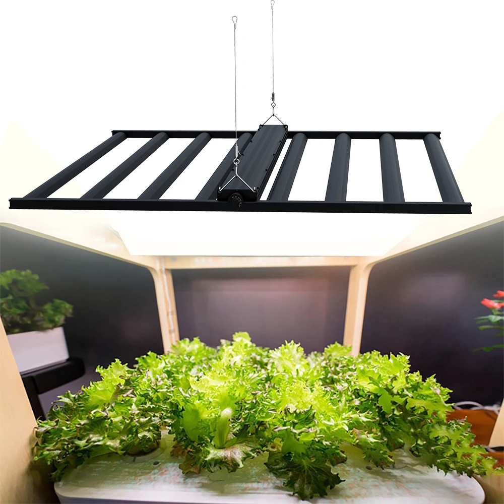 ion led grow light