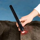 Pen Animals Laser Veterinary Veterinary Laser Acupuncture Laser Pen For Pets And Larger Animals