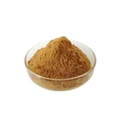 High Quality Honeysuckle Flower Extract 50% 90% 98%