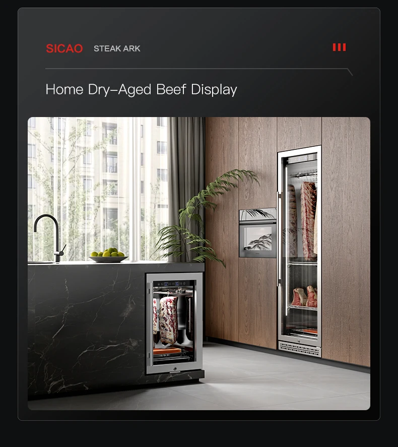 Dri Ageing Fridge Cooler, SICAO - detail 16