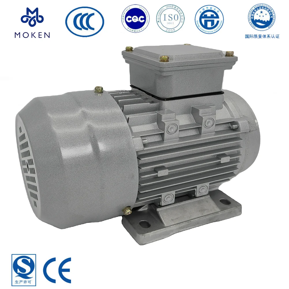 Ye Series Electric Motor Three Phase Ac Kw Kw Low Rpm High Torque