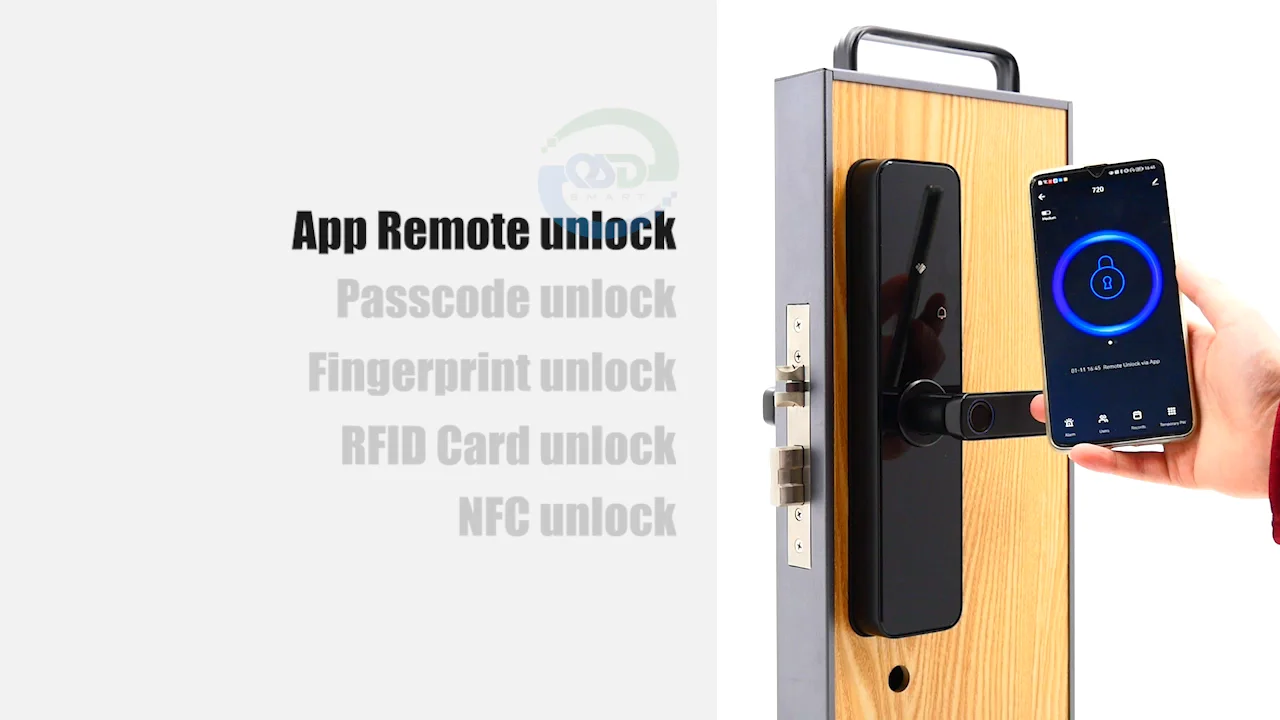 Intelligent Home Biometric Tuya Ttlock App Cerraduras Inteligentes Con