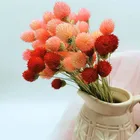 Wedding Decoration Best Quality Acacia Ball Dried Flowers For Wedding Floral Arrangement And Office Decoration