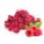 Organic Freeze Dried Raspberry Powder Raspberry Powder Raspberry Fruit Powder