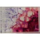 Photo Display Factory Outlet Acrylic Photo Clip Display For Store Container