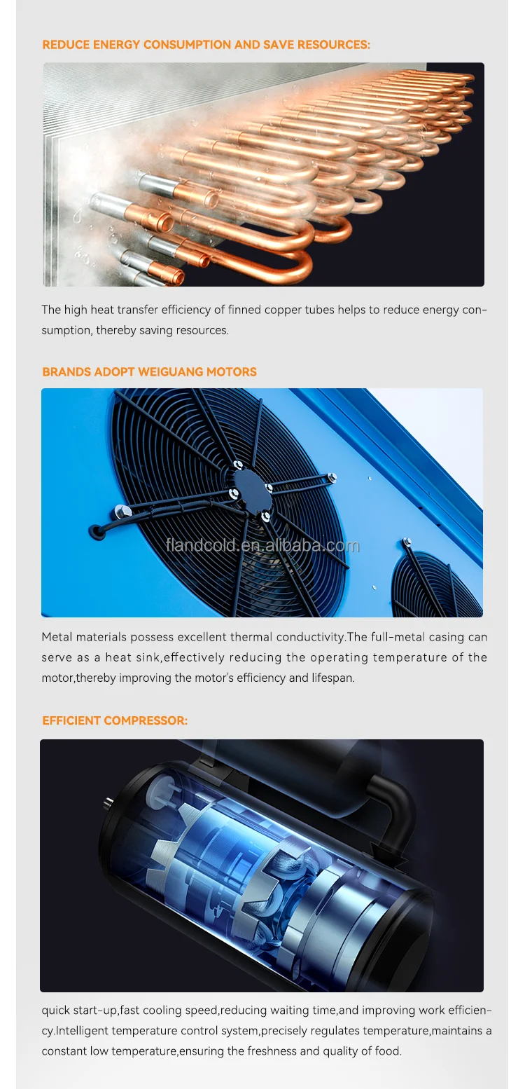 Freezer, 20FT, 40HQ, Solar - detail 12