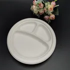 Paper Plate White Disposable Biodegradable Sugarcane Bagasse Paper Pulp Plate Food Container