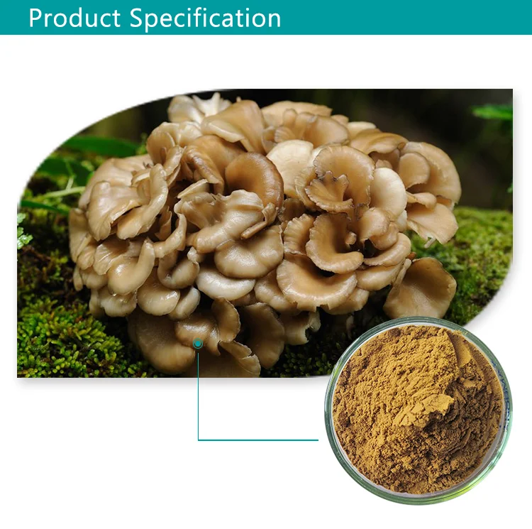 Jhd Natural Organic Maitake Polysaccharide Grifolafrondosa Maitake