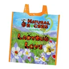 Bag Sustainability Earth-loving Shop PP Woven Bolsa Natural Grocers Reusable Bag