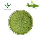 Organic Green Tea Wholesale Pure 100% Organic Ceremonial Grade Green Tea Matcha Powder