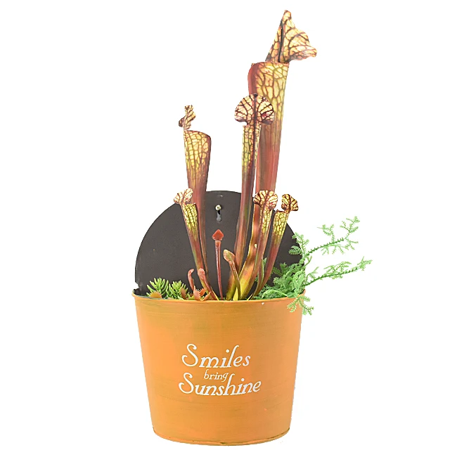 artificial pitcher plants potted for wall decoration home