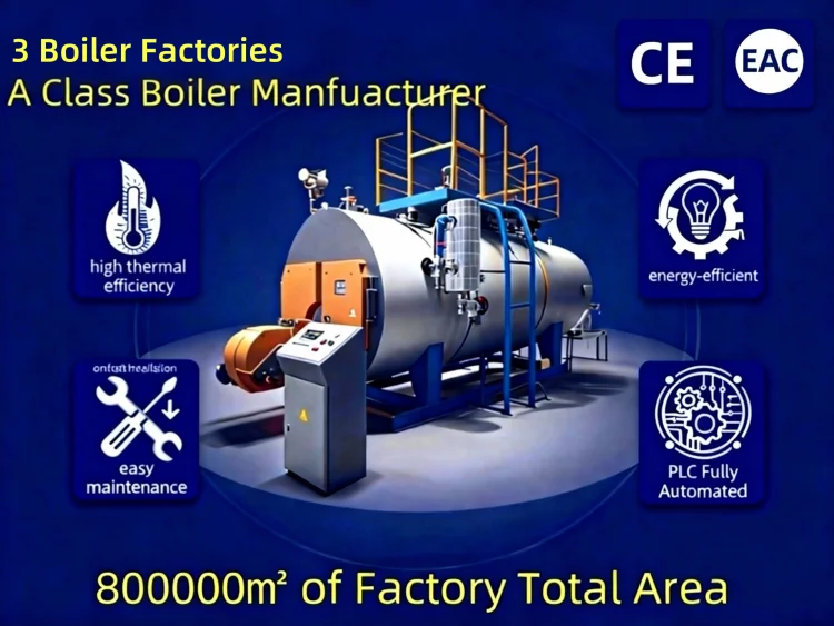 Steam Boiler, Stainless, 0.5t, Stainless Steel - detail 2