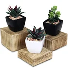 Jewelry And Accessories Display Stand Wooden Risers For Display Wooden 3 Pcs Square Risers For Display
