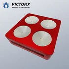 Strip Red: Led Led China Supplier Indoor Plant Strip Vegetables 300W 600W Red: Blue COB Led Grow Light