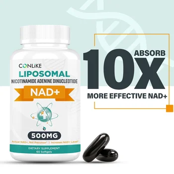 NAD supplement Capsules liposomal Nad Capsules For Adults Upgraded Nad Supplement For High Absorption OEM ODM