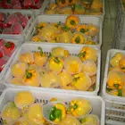 Pepper Sweet Chinese Fresh Capsicum/Fresh Bell Pepper/sweet Pepper Yellow /red/green 8613953636519