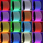 Led Rgb TopviewThick Silicone LED Flexible DMX Adressable RGB 120V Neon Strips Light 24v Rgb Led Neon Flex