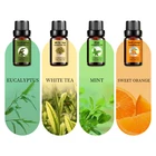 Oil Custom Fast Delivery Essential Oil Relax Elevate Mood 12 Flavors 100% Pure Vegan Organic Massage Oil Gift Set