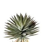 Bonsai 2 Head Sword Orchid Iron Indoor Tree Bonsai Trees Plant Artificial Plants And Trees