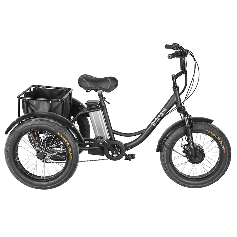 electric beach cruiser trike