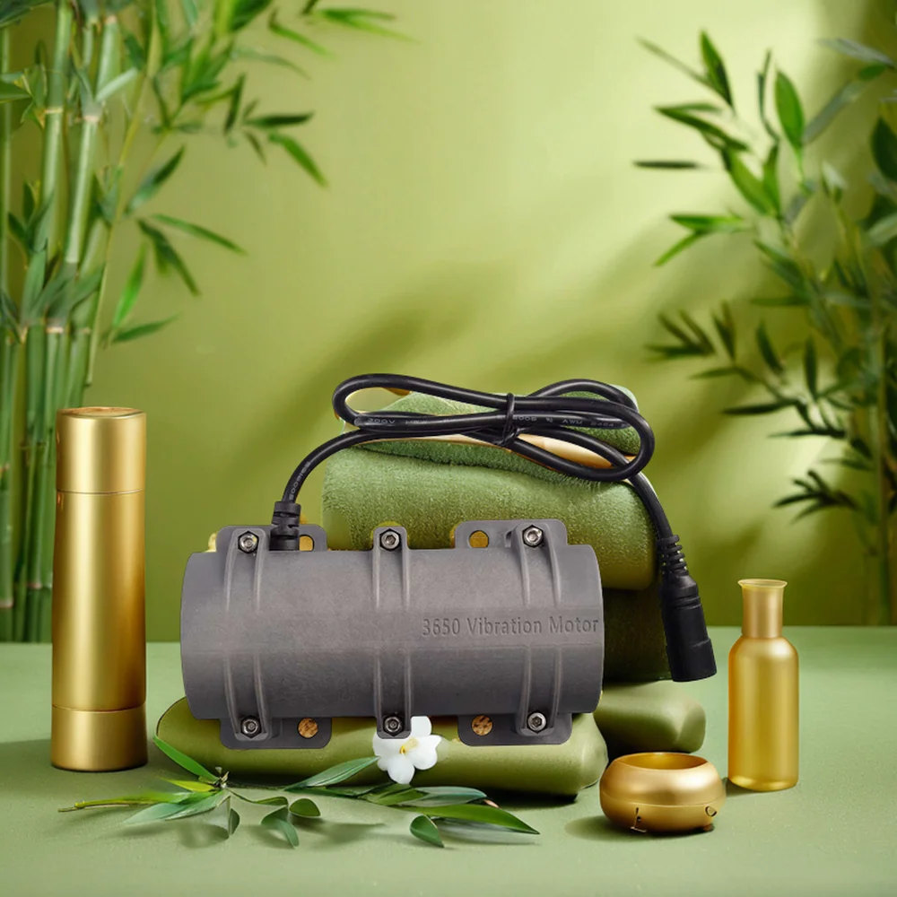 Vibration Motor, SL-3650, Brushless, 12V, Explosion-Proof - detail 4