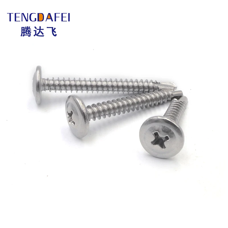 Customized Stainless Steel Truss Head Phillips Self Drilling Roofing