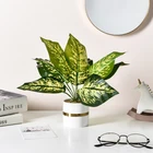 Bonsai Fresh Simulation Turtle Back Leaf Green Plant Bonsai Decoration Artificial Plant