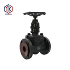 Valve Tyco China Factory ANSI A105 Forged Steel Flanged Globe Valve