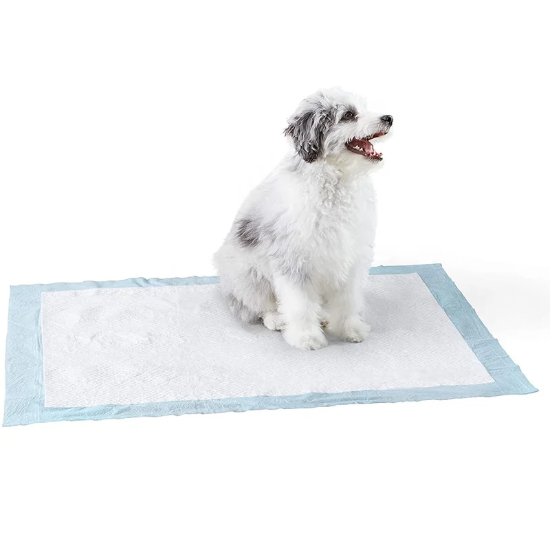 animaze training pads