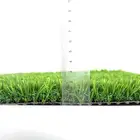 Duoli Grass Best Quality Leisure Turf Artificial Grass For Landscape And Garden