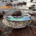Abalone Shell Shells Australian Abalone Shell Smudging Wholesale Abalone Shells With Sage