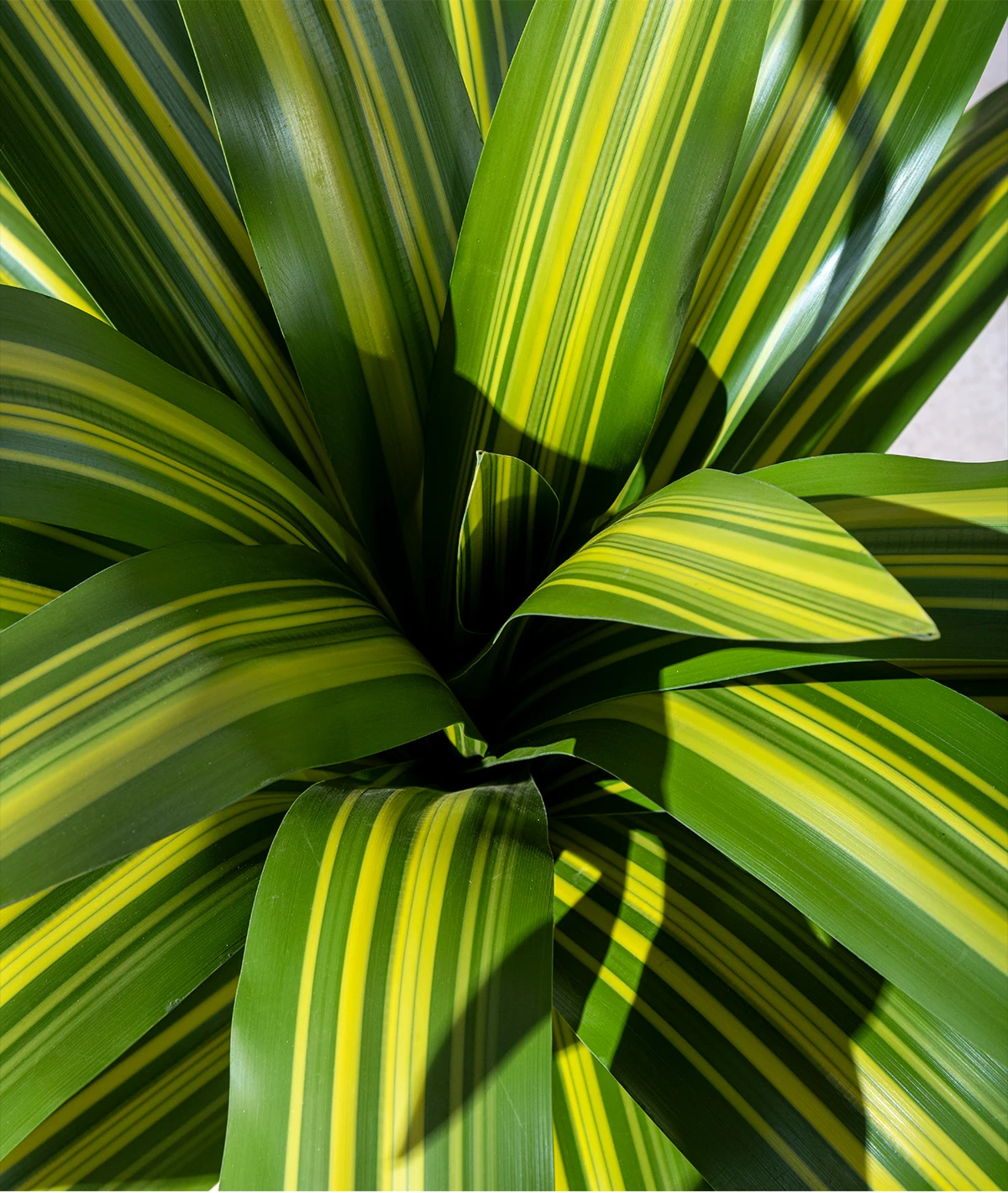 Durable Indoor/Outdoor Home Office Decor Large Green Palm Bonsai Tree Artificial Grass with Silk Material in Plastic Pot details