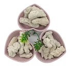 Coral Large Coral Sand Usage For Stone Aquarium Extra Large Aquarium
