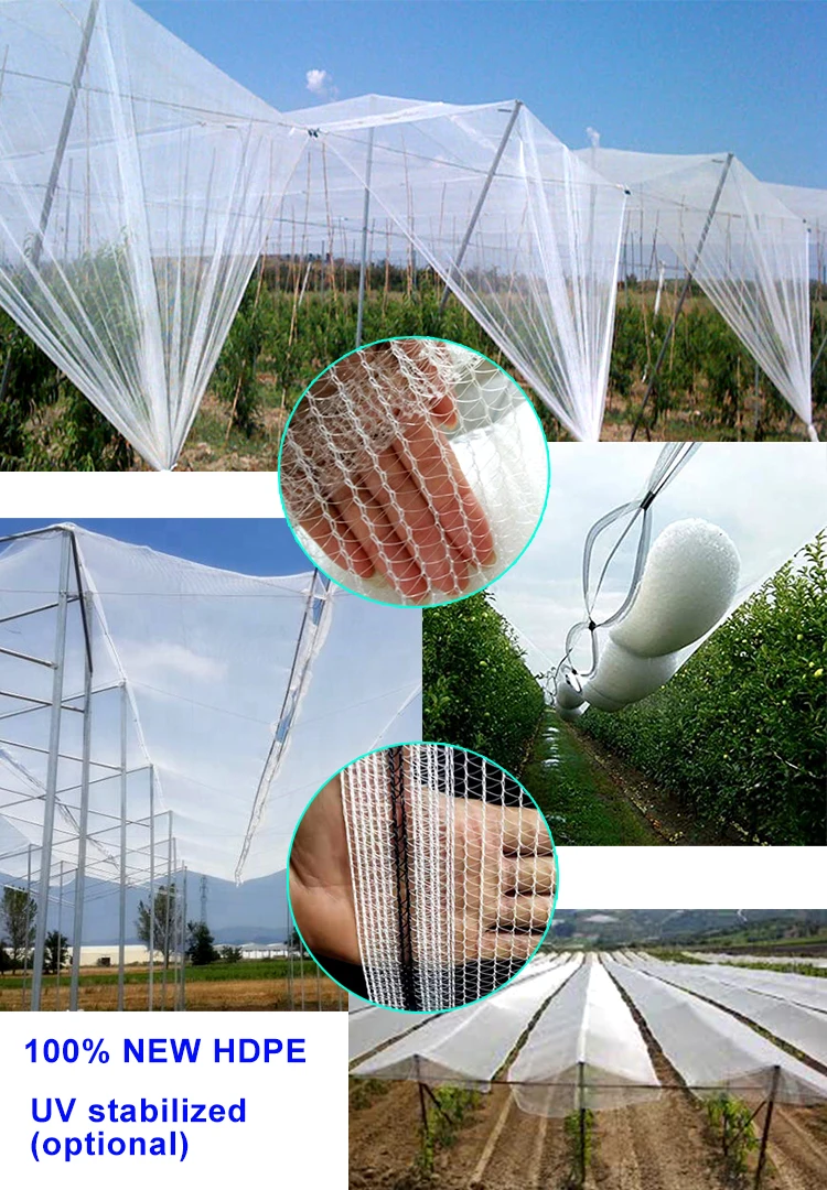 high quality apple tree anti hail net with best price