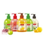 Family Soap Soap Hand Liquid OEM Private Label Family Basic 500ml Liquid Hand Wash Soap