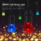 Holiday Smart Phone Voice Control RGBW Holiday Lamp Bulb Outdoor Christmas Tree Lights LED String