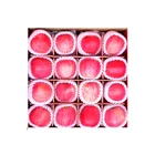 Apples Apple 2021 Factory Wholesale Delicious Seasonal Apples Fresh Apple From China