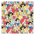 Factory Outlet Famous Cartoon Princess Custom Cotton Poplin Fabric Digital Printing For Garment
