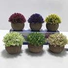 Plants Flowers Potted Plants Decorated With Artificial Bonsai Flowers
