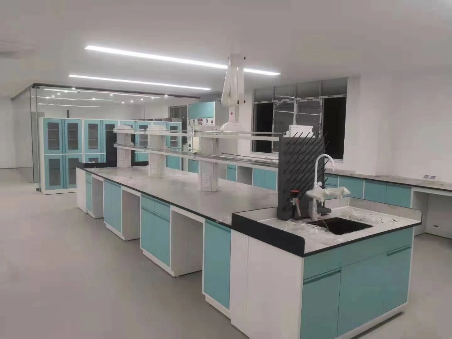 All Steel Lab Fume Hood 1200*850*2350 mm with Customizable Color for Chemistry and Physics Labs